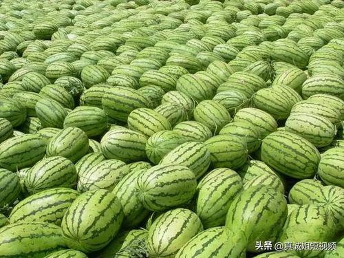 热门大瓜有哪些 吃瓜网,吃瓜网带你一网打尽