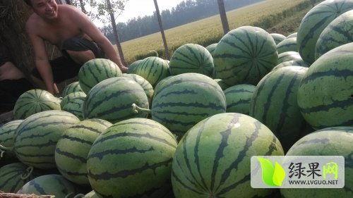 怀仁网红大瓜最新消息,揭秘背后惊人真相，网友热议不断！